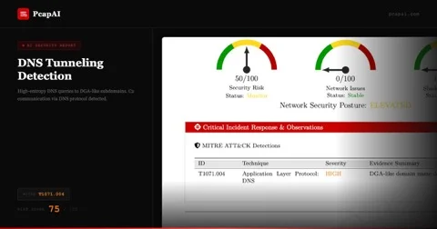 PcapAI — DNS tunneling detected, MITRE T1071.004